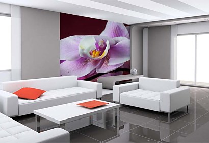 tapeta - orchidea