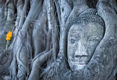 Fototapeta Buddha v kořenech stromu 3271
