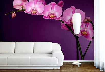 fototapety - fialová orchidea
