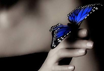 Fototapeta Modrý motýl na ruce 109