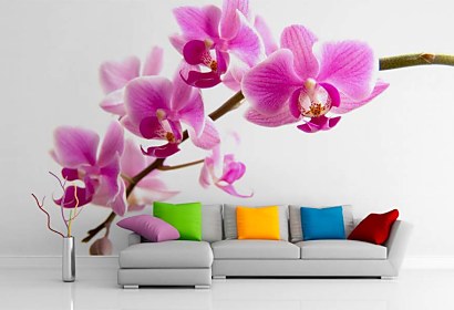 Fototapeta - Exotická Orchidej 99