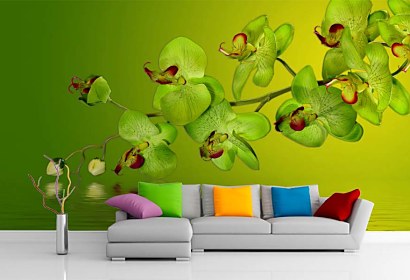 vinylové tapety - orchidea