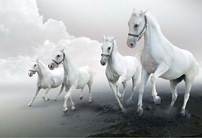 Fototapeta White horses in the clouds 3168