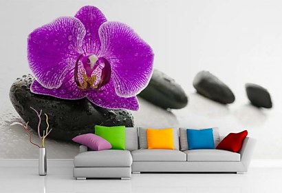 Fototapeta Zen stones and Orchid 24730