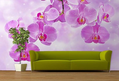 fototapety - orchidey