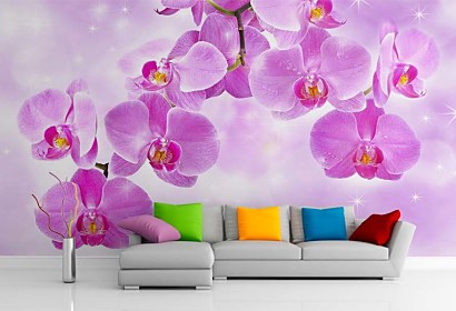 do obývačky tapety s orchideami