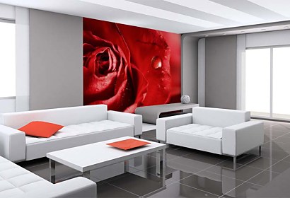 fototapety na stenu - romantic rose