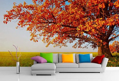 tapety do obývačky so stromom v jeseni