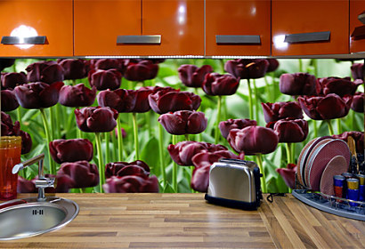 Fototapeta zástěna - Purpurové tulipány 3136