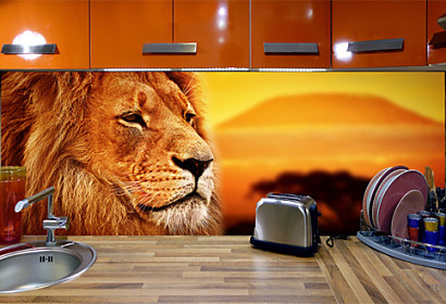 Fototapeta na zástěnu - Lev král zvířat 28074