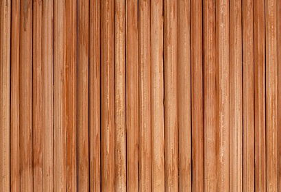 Fototapeta zástěna - Hnědý bambus 4177