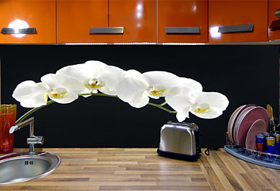 Fototapeta za kuchyňskou linku - Bílá orchidej 18547