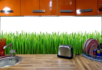 Kuchyňská fototapeta - Zelená tráva 28016