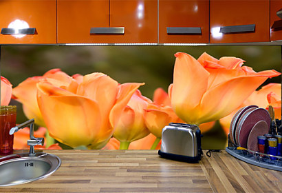 Fototapeta zástěna - Holandské tulipány 5418