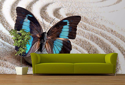Tapeta Butterfly Wings 29068