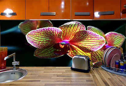 Fototapeta do kuchyně - Orchidea 3132